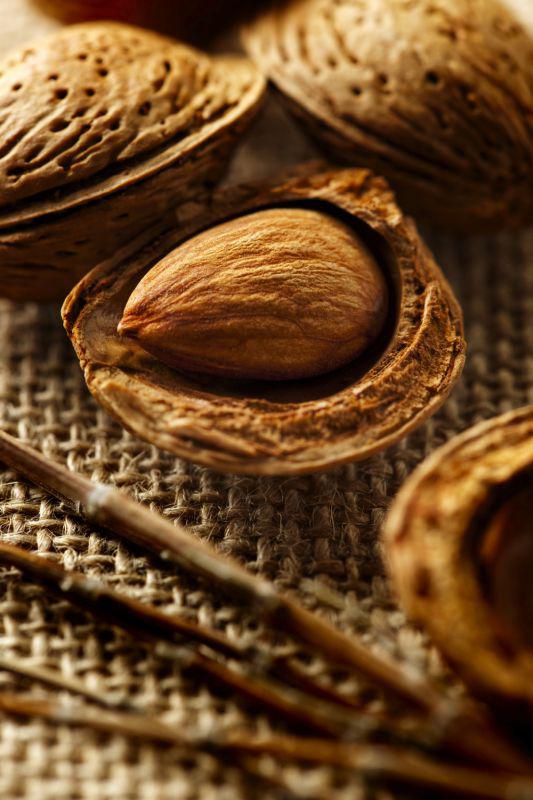 Almonds in shells - could cause reaction in people with nut allergies